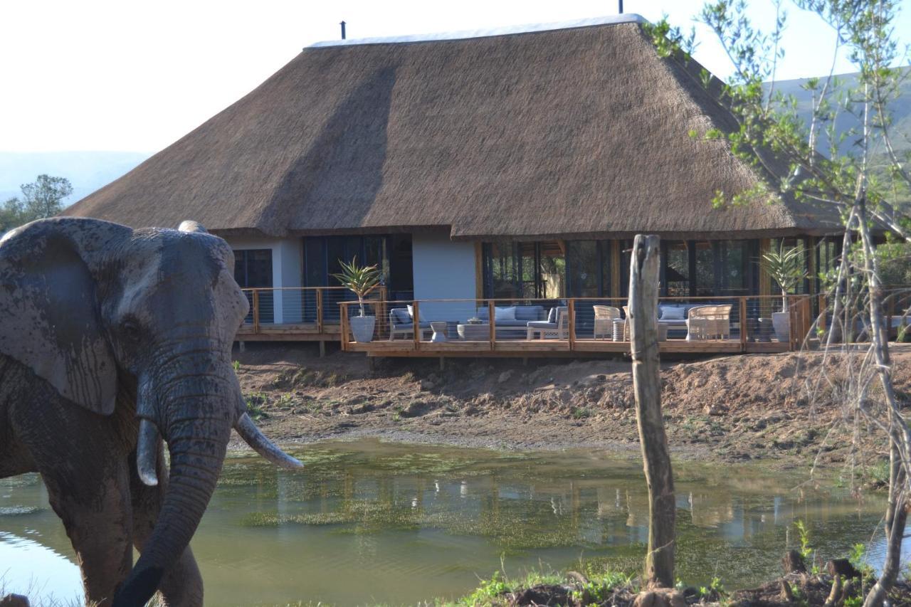 Barefoot Addo Elephant Lodge Extérieur photo